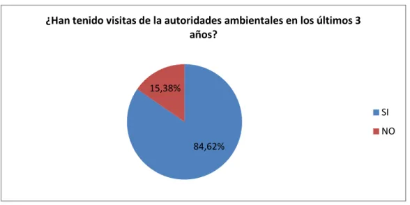 Figura 11. Resultado encuesta, pregunta 17 