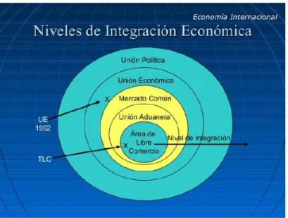 Figura	  1.	  Niveles	  de	  Integración	  Económica
