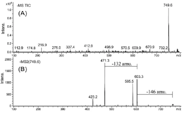 Figure 1. Negative ions ESI-MS n  spectra: A. TIC of  -hederin (750.95 Da) in negative mode; B
