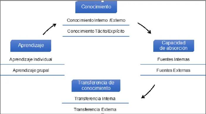 Gráfico 5: Proceso de conocimiento 