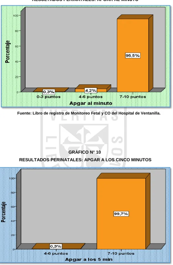 GRÁFICO N° 10 