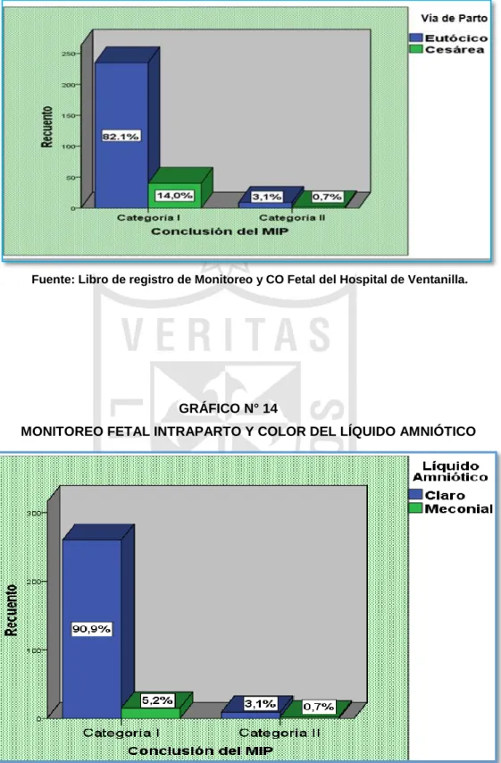 GRÁFICO N° 14 