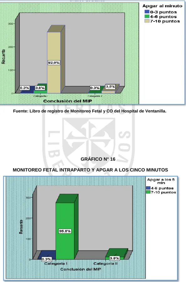 GRÁFICO N° 16 