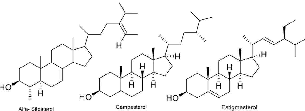 Figura  6  Estructura  molecular  de  varios  fitoesteroles  (α-  Sitosterol,  Campesterol  y  Estigmasterol)