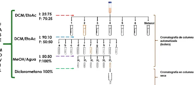 Figura 7   Ilustración de todas separaciones llevadas a cabo en la muestra inicial.