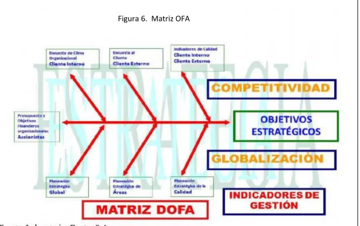 Figura 6.  Matriz OFA 
