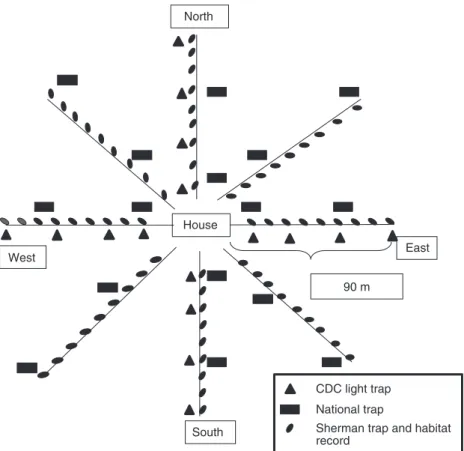 Figure 1 Sampling scheme around each house where the phlebotomine and wild animals traps were set in the general study.