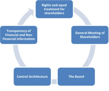 Figure 1. Principles of Corporate Governance of the CAF 
