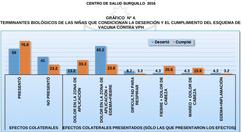 GRÁFICO  Nº 4.  