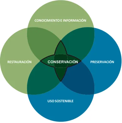 Figura 8. La conservación de la biodiversidad como elemento emergente de la preservación, uso sostenible, restauración y  generación de conocimiento