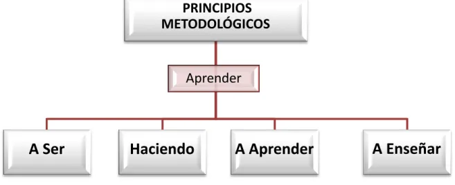 Figura 4. Principios metodológicos del proyecto Jóvenes Constructores de Paz 