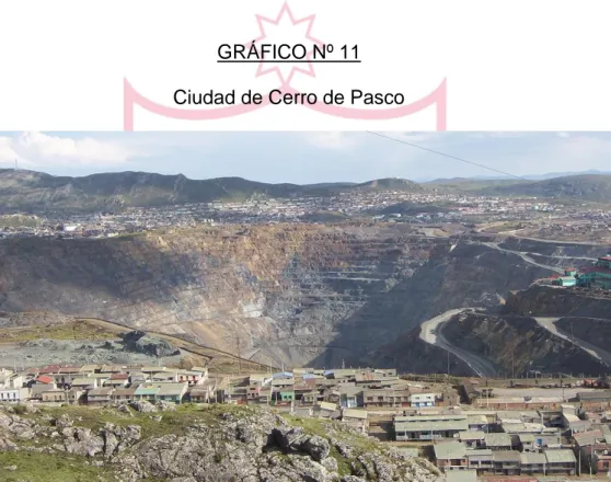 GRÁFICO Nº 11  Ciudad de Cerro de Pasco 