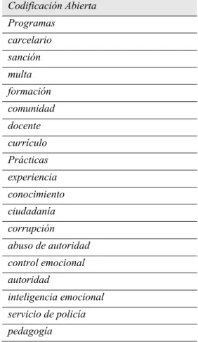 Tabla 4: Codificación abierta 