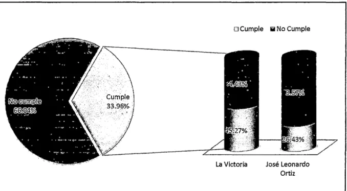 Gráfico N° 01 