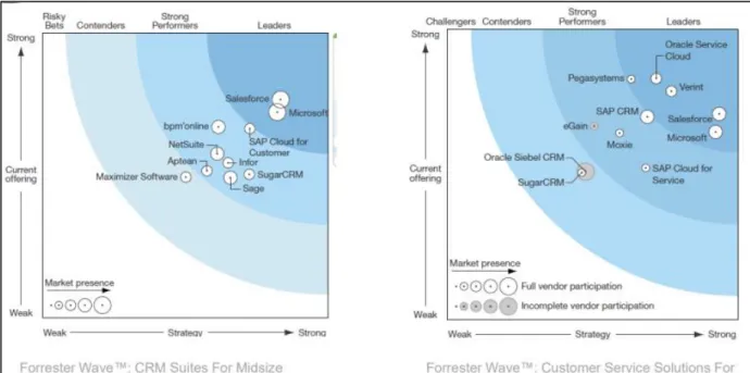 Figura 7. Análisis de Mercado CRM. 