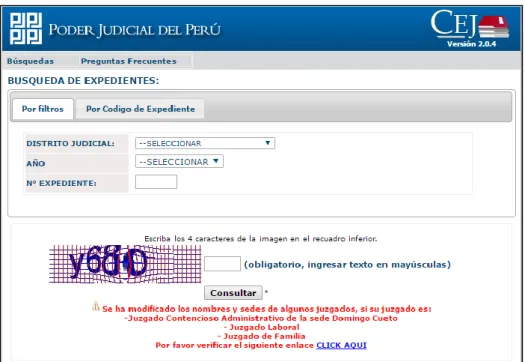 Figura 5: Interfaz de sistema CEJ 