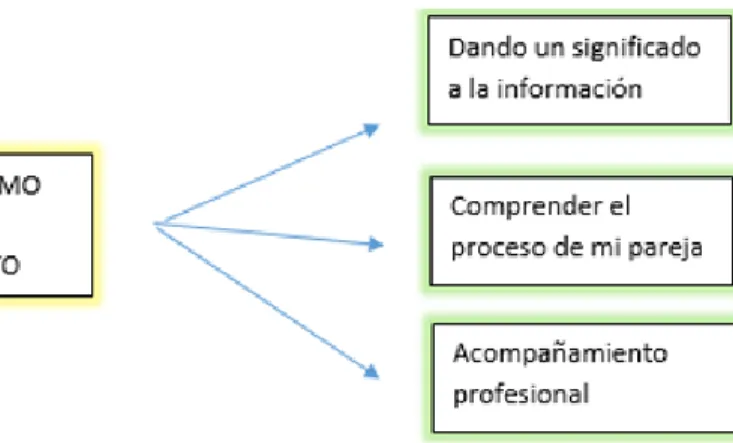 Figura 2: Información como Necesidad de Acompañamiento. 