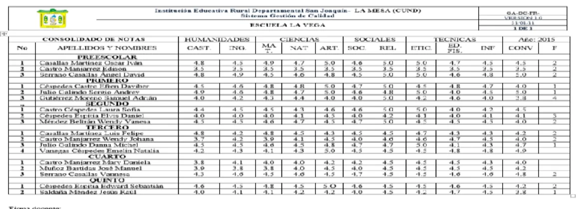 Figura 4.  Formato de consolidado académico.  Elaboración propia 