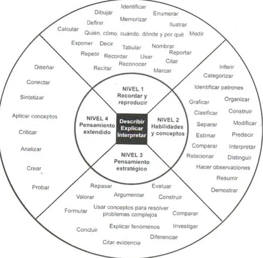 Figura 2:  Taxonomía de Webb (adaptada de Webb et al., 2005)