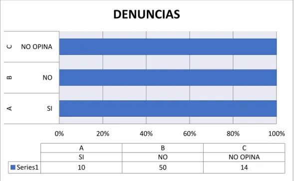 GRÁFICO N° 16: 