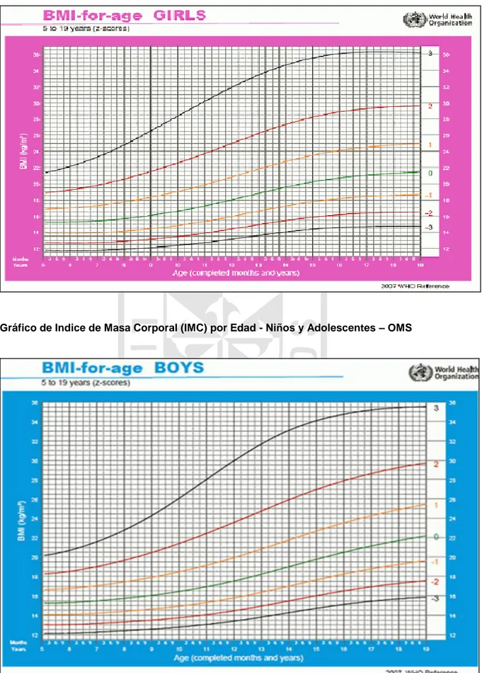 Gráfico de Indice de Masa Corporal (IMC) por Edad - Niñas y Adolescentes – OMS 
