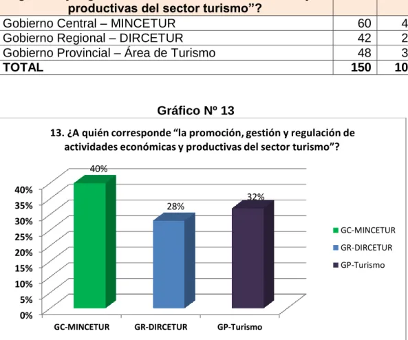 Gráfico Nº 13 