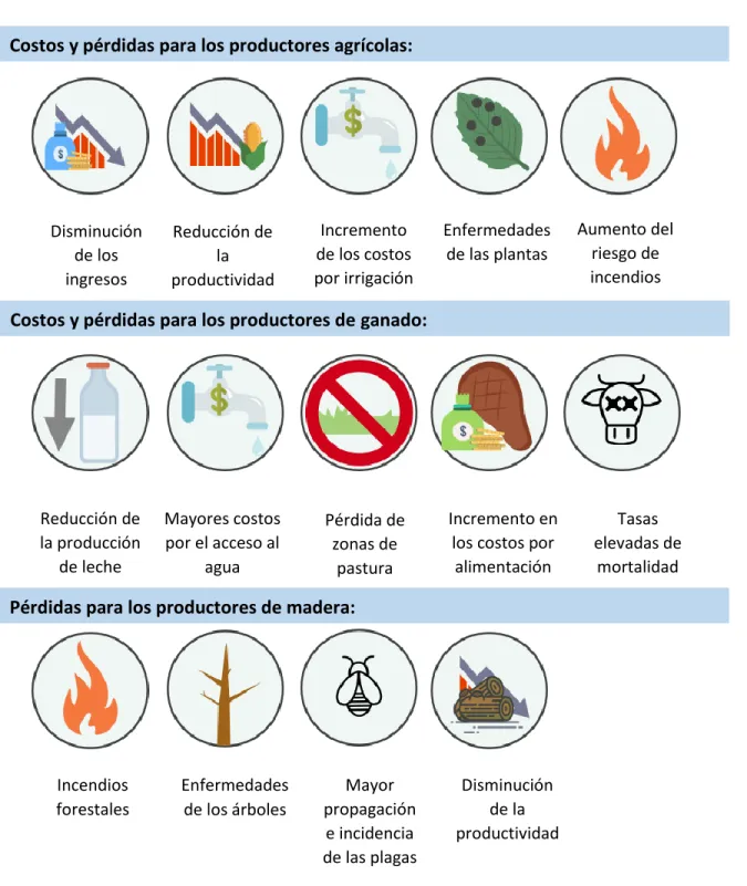 Tabla 1. Impactos generados como consecuencia de la sequía, según el NDMC (2003). 