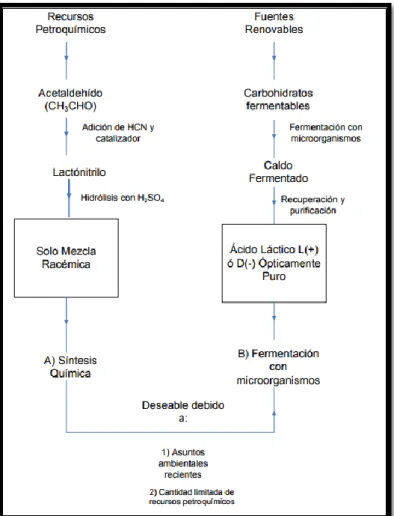 Figura  6: Método de producción de ácido láctico. (a)  Síntesis química (b) Biotecnologica= Sacarificación y  fermentación simultánea