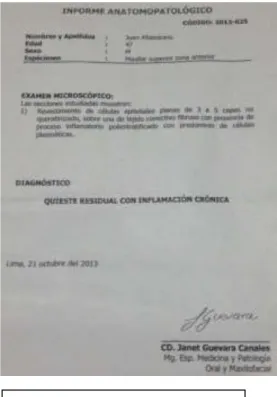 Fig. 10  Informe Anatomopatológico  