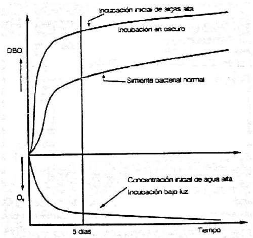 FIGURA Nº 05. EFECTO DE UN CONTENIDO ALTO DE ALGAS SOBRE  LA DBO. 