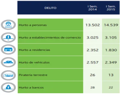 Figura 14. Tipos de delito 