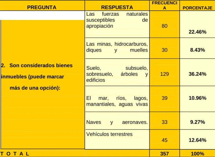 CUADRO N° 13 : CONCEPTUALIZACIÓN DE BIENES INMUEBLES  