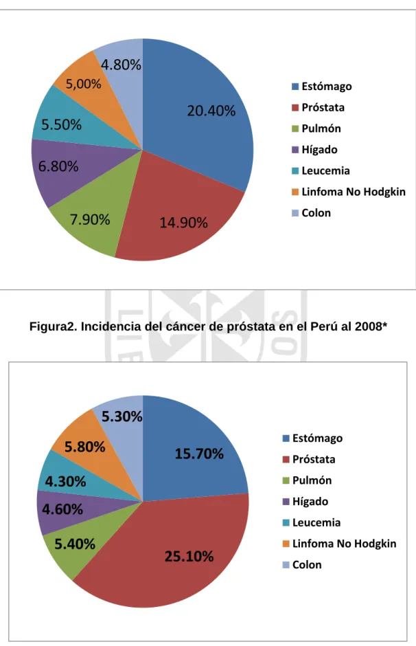 Figura 1. Mortalidad del cáncer de próstata en el Perú al 2008* 