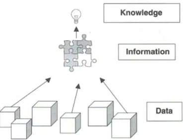 Figure 2. Building blocks of knowledge 8 . 
