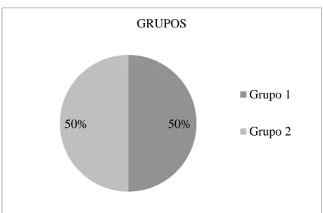 Figura 11. Grupos Muestra 