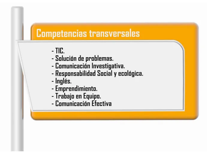 Gráfico 3. Competencias transversales programa Diseño Visual (Unipanamericana, 2009, p