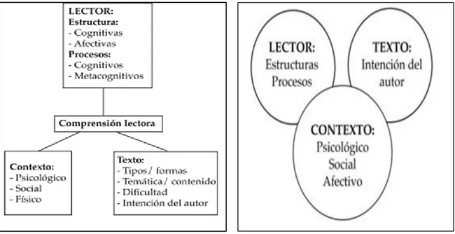 Figura  5   Componentes de la comprensión lectora / relación entre componente y factores de la comprensión lectora