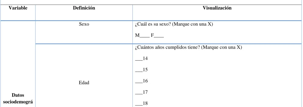 Figura 4. Matriz de desarrollo de ítems 