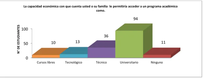 Figura  13. Capacidad económica / programa académico 