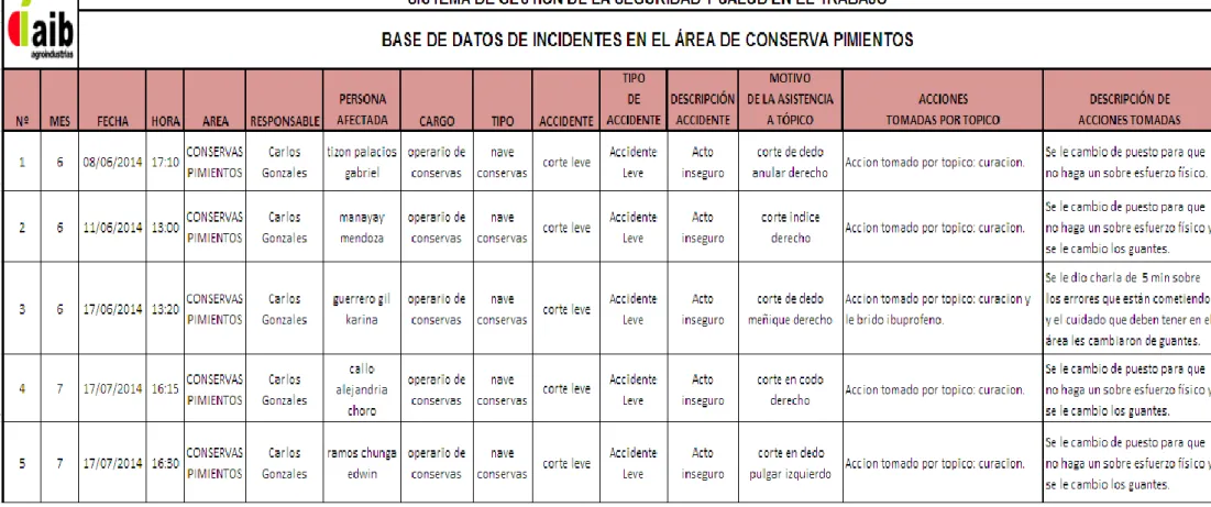 Tabla N° 12: Resumen de base de datos de accidentes en el área de conserva pimientos 