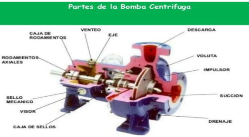 Figura 10: Bomba Helicoidal. 