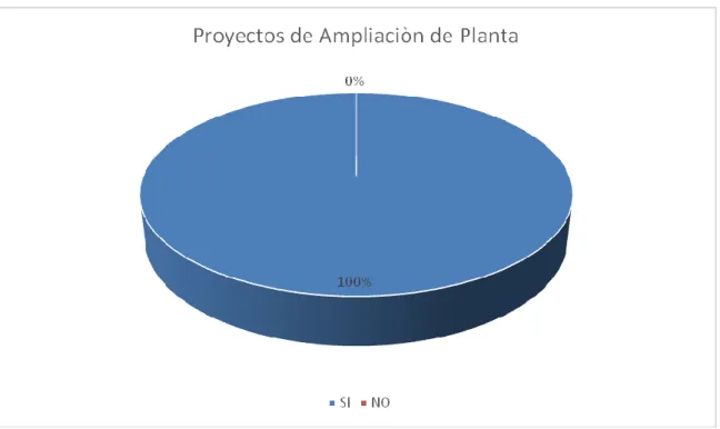 Cuadro 7. Planeación de proyectos de ampliación de planta 