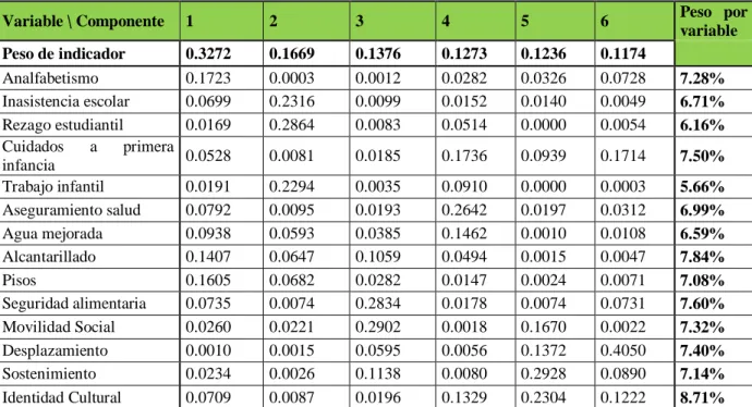 Tabla 11: Pesos para cada indicador del IPM Wayúu general obtenidos por el método de componentes principales 