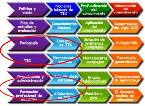 Gráfico No. 1: Marco de Referencia. UNESCO (2008) 