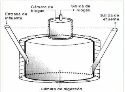 Figura 5. Digestor tipo Chino.
