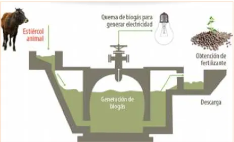 Figura 8. Proceso anaeróbico