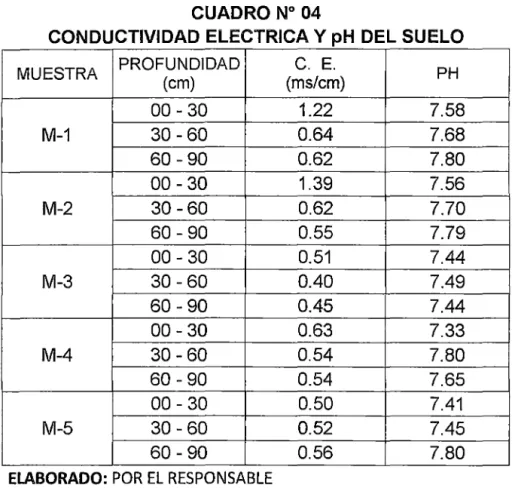 CUADRO No  04 