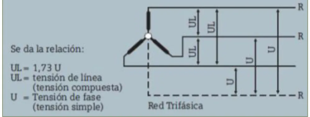 Figura N° 11: Red Trifásica 