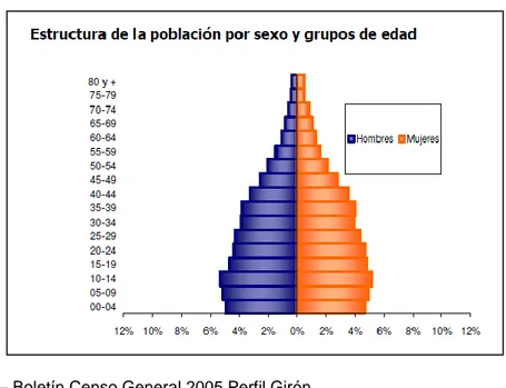 Figura  7. Estructura de la población por grupos de edad en 2010 para Girón. 