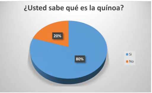 Gráfico N° 07 